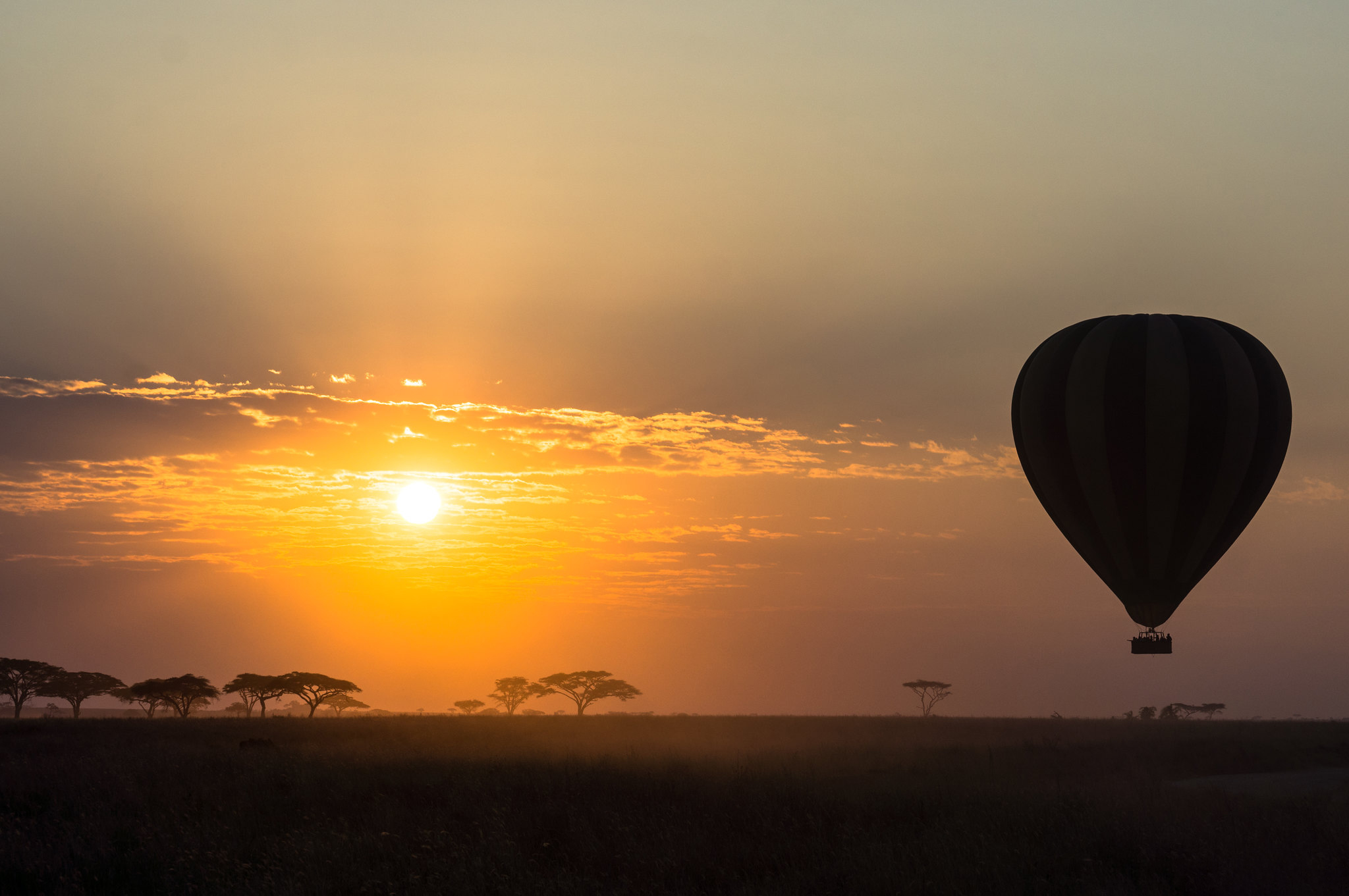 Tanzania Baloon Safari