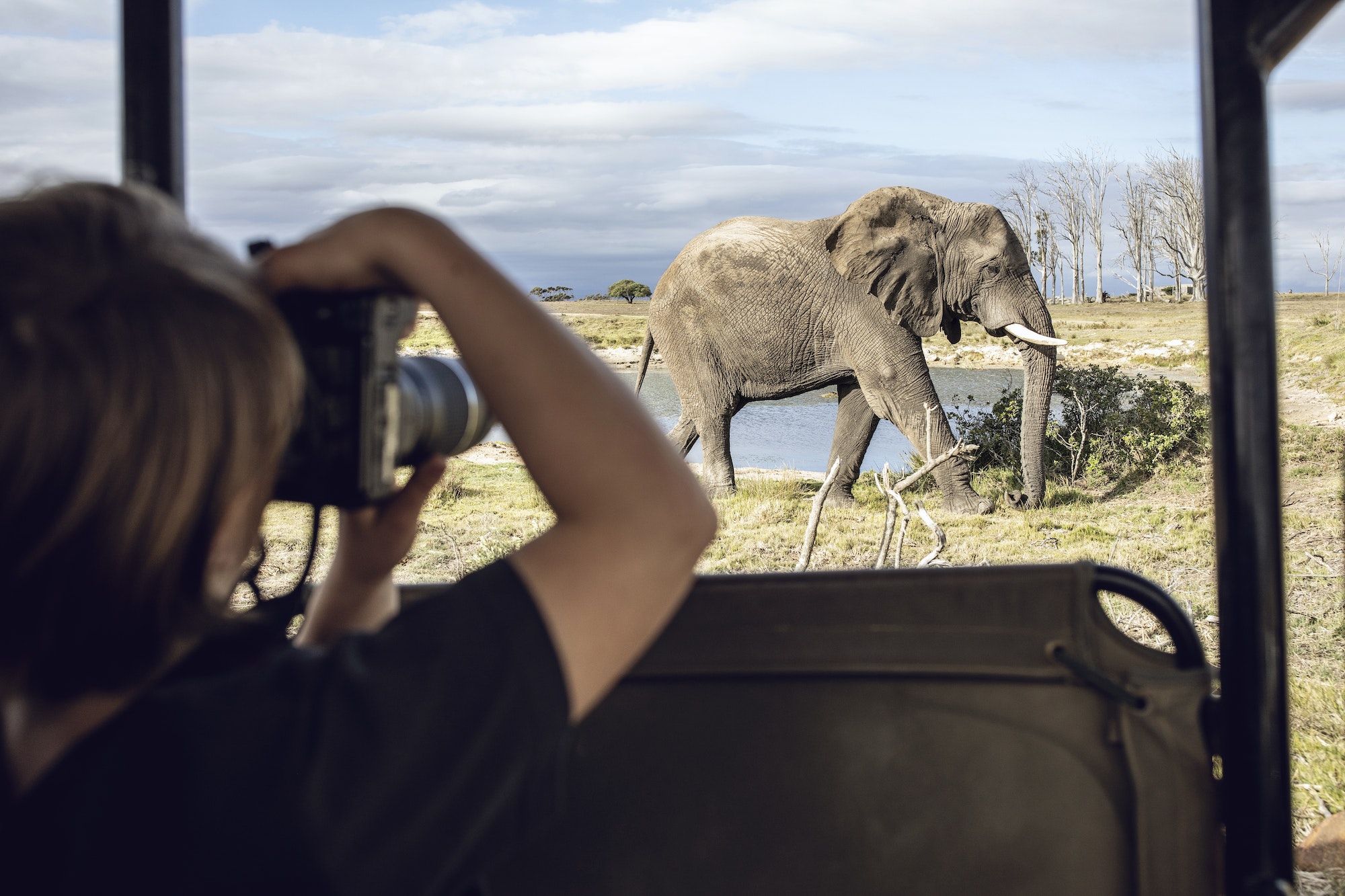 Back view of girl taking photo of an elephant, Inverdoorn game Reserve, Breede River DC, South Afric